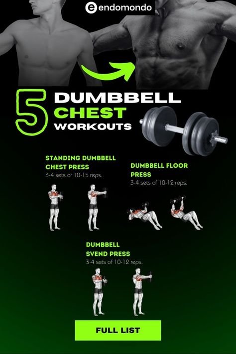 dumbbell workout plan pdf
