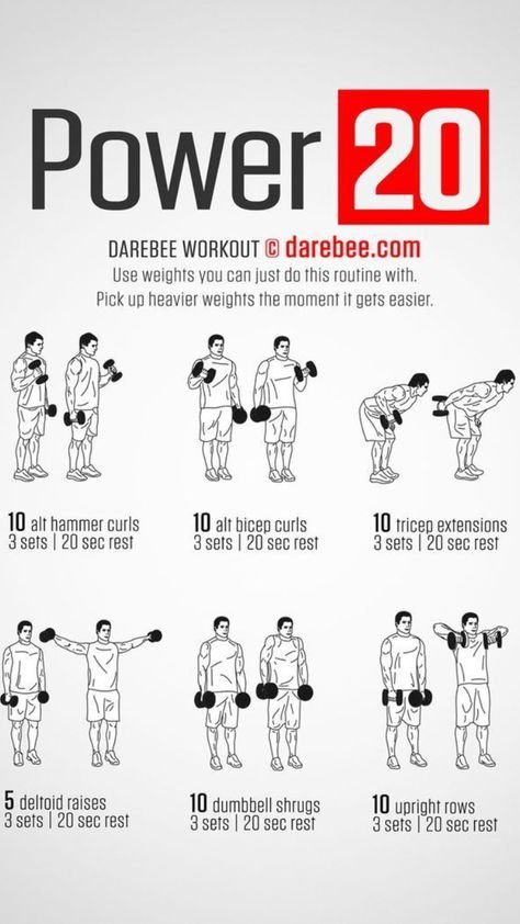 dumbbell workout plan pdf