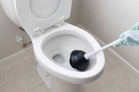 how to unclog a toilet